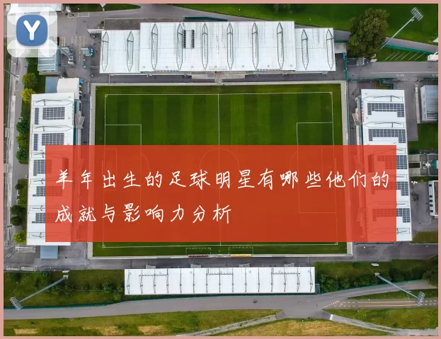 羊年出生的足球明星有哪些他们的成就与影响力分析