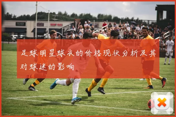 足球明星球衣的价格现状分析及其对球迷的影响