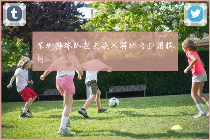 深圳排球队包夹战术解析与应用探讨
