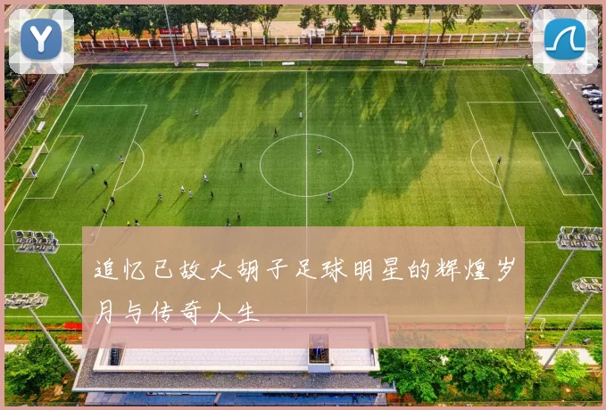 追忆已故大胡子足球明星的辉煌岁月与传奇人生
