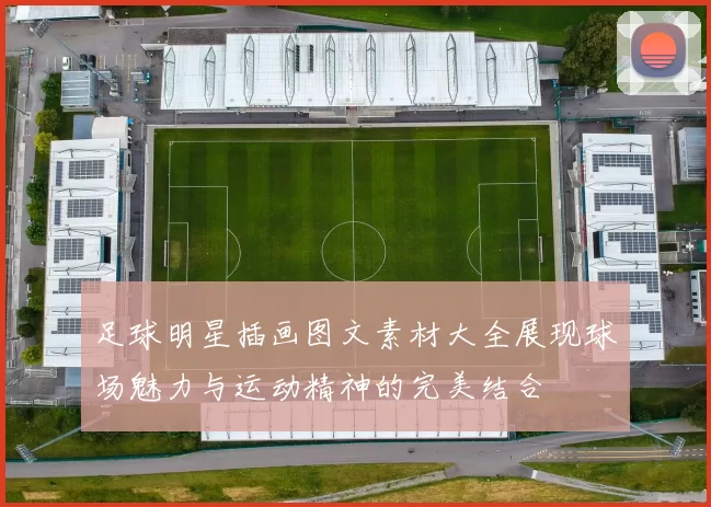 足球明星插画图文素材大全展现球场魅力与运动精神的完美结合