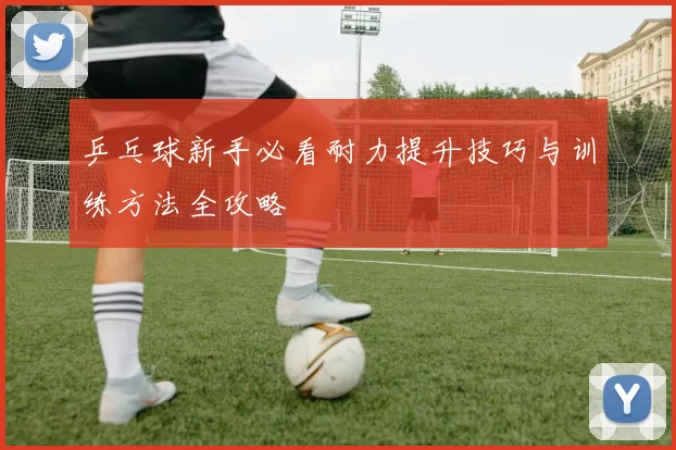 乒乓球新手必看耐力提升技巧与训练方法全攻略