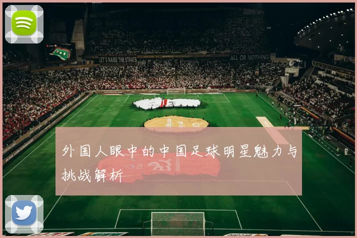 外国人眼中的中国足球明星魅力与挑战解析