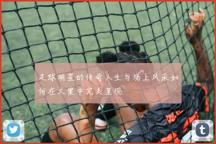 足球明星的传奇人生与场上风采如何在文案中完美呈现