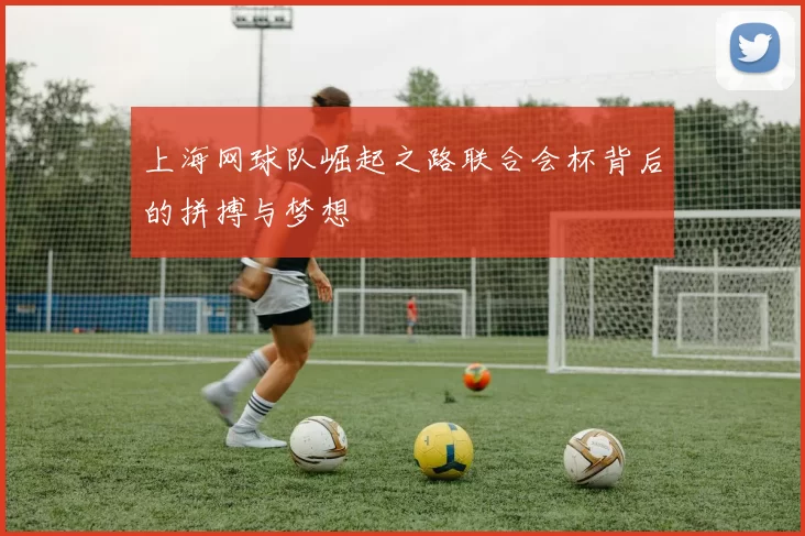 上海网球队崛起之路联合会杯背后的拼搏与梦想