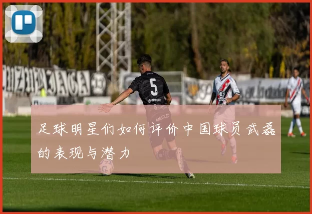 足球明星们如何评价中国球员武磊的表现与潜力
