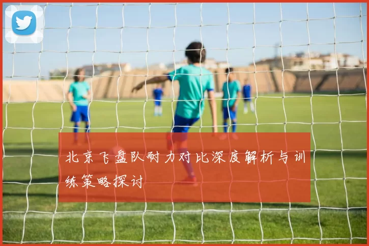 北京飞盘队耐力对比深度解析与训练策略探讨