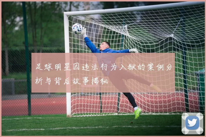 足球明星因违法行为入狱的案例分析与背后故事揭秘