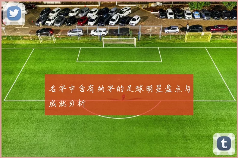 名字中含有纳字的足球明星盘点与成就分析